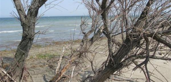 Spiaggia Libera Foto Di Gi Pava Pre Testi Di Giancarlo